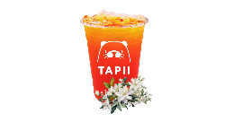 Jasmine Green Tea