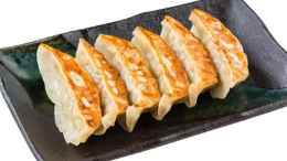 Fried Chicken & Prawn Dumplings