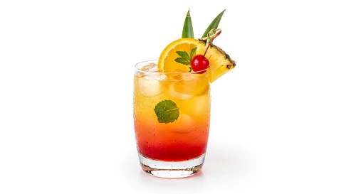 Tropical Oasis