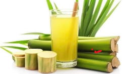 Sugarcane Juice