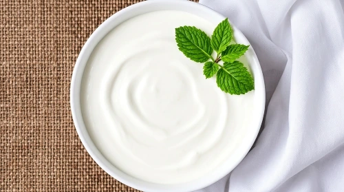 Plain Yogurt